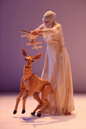 Voice 4 Vision Puppet Festival Gallery