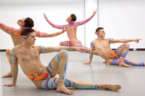 Narcissus (work-in-progress excerpts)