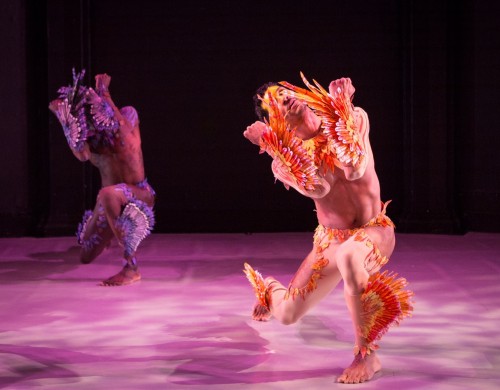 Il Giardino d′Amore (excerpts) & Dardanus Suite (excerpts)